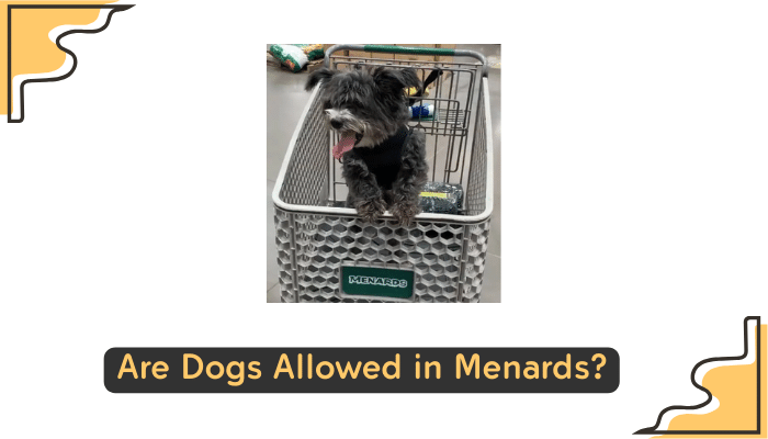 dogs allowed at menards