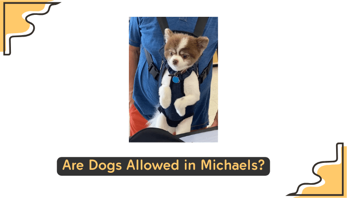 dogs allowed at michaels