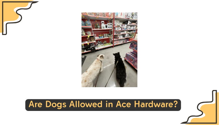 dogs at ace hardware