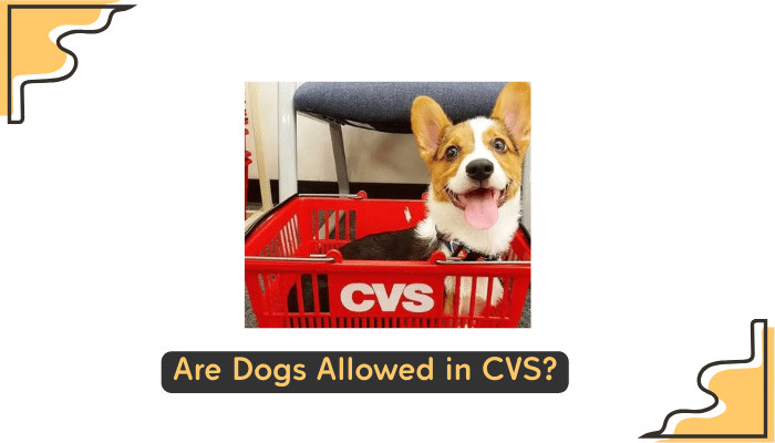 dogs permitted in cvs