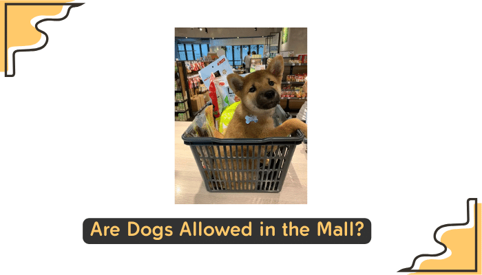 dogs permitted in mall