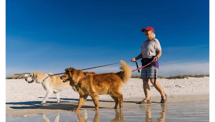 pet-friendly Beach