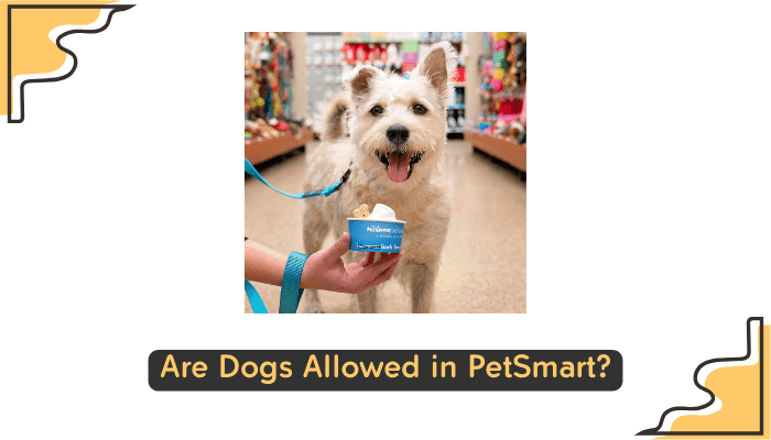 petsmart dog policy