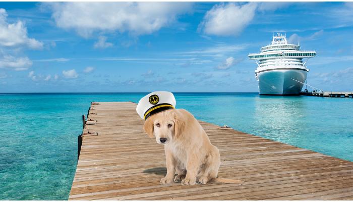 service dogs in Cruise ships