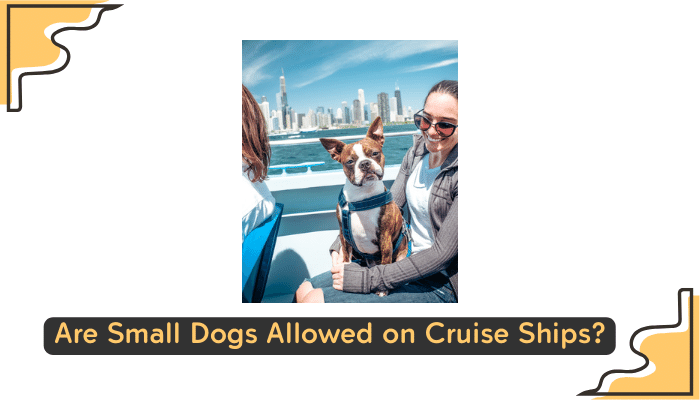 small dogs on cruise