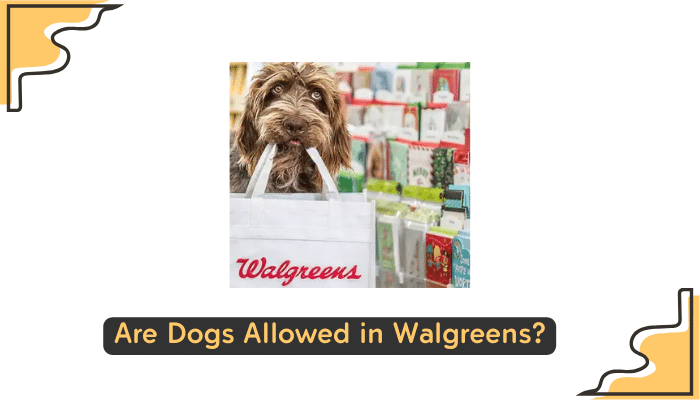 walgreens pet policy