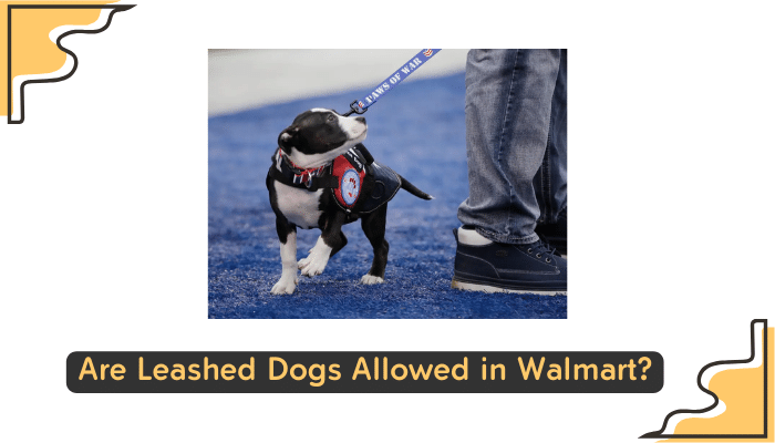 walmart s policy on leashed dogs